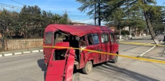 სენაკში მიკროავტობუსს ხე დაეცა