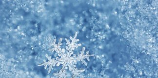 გარემოს ეროვნული სააგენტო მოსახლეობას უახლოეს დღეებში მოსალოდნელი ამინდის შესახებ აფრთხილებს