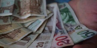 2022 წელს სოციალურად დაუცველთა „საზოგადოებრივ სამუშაოებზე დასაქმების პროგრამით”, 30 ათასამდე ადამიანი დასაქმდა