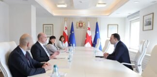 „საქართველოს განვითარების სტრატეგია – ხედვა 2030”- განხორციელების სტრატეგია