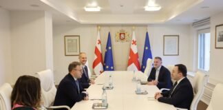 ირაკლი ღარიბაშვილი უნგრეთის პრემიერ-მინისტრის შეხვდა