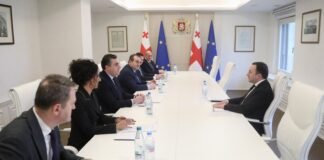 ირაკლი ღარიბაშვილმა საგარეო საქმეთა მინისტრთან ილია დარჩიაშვილთან და მის მოადგილეებთან სამუშაო თათბირი გამართა