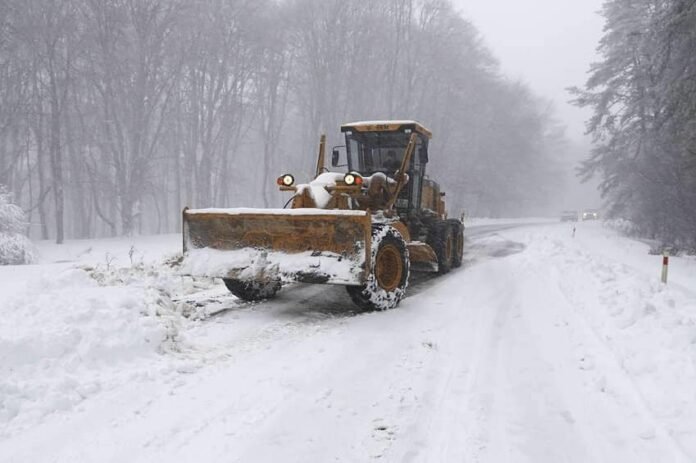 332143653_904232344230905_4335172051639680815_n