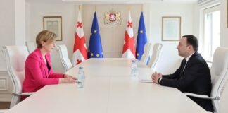 ირაკლი ღარიბაშვილი ჩეხეთის რესპუბლიკაში საქართველოს ახლად დანიშნულ ელჩს, თეა მაისურაძეს შეხვდა