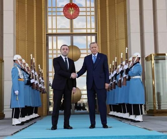 ირაკლი ღარიბაშვილი თურქეთის რესპუბლიკის პრეზიდენტს შეხვდა