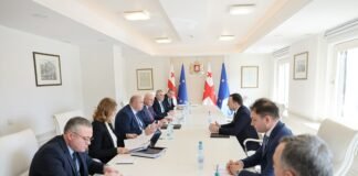 ირაკლი ღარიბაშვილმა რეგიონული განვითარებისა და ინფრასტრუქტურის მინისტრ ირაკლი ქარსელაძეს შეხვდა