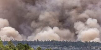 ესპანეთში ძლიერი ხანძრის შედეგად 4 000 ჰექტარი ტყე განადგურდა