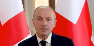 გურამ მაჭარაშვილმა დეპუტატებს მათ მიერ ინიცირებული კანონპროექტების შინაარსი გააცნო