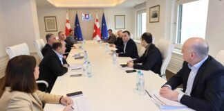 ირაკლი ღარიბაშვილის ხელმძღვანელობით ეკონომიკური საბჭოს სხდომა გაიმართა