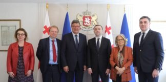 ირაკლი ღარიბაშილი ევროპის საბჭოს საპარლამენტო ასამბლეის მონიტორინგის კომიტეტის თანამომხსენებლებს შეხვდა