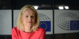 „კარგია საქართველოსთვის, მაგრამ მაინც პირველი ნაბიჯია. კიდევ ბევრი რამ უნდა მოჰყვეს” – ვიოლა ფონ კრამონი