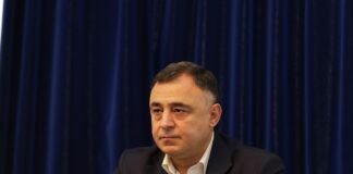 საფინანსო-საბიუჯეტო კომიტეტის თავმჯდომარის პირველი მოადგილე გოგი მეშველიანი იქნება