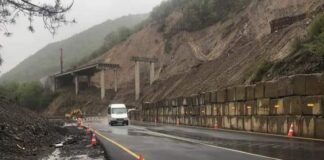 რიკოთზე ტრანსპორტის მოძრაობა სპეციალური რეჟიმით აღდგა