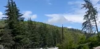 რა ხდება რიკოთზე