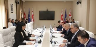 პარლამენტში „სამოქალაქო თანასწორობისა და ინტეგრაციის 2021-2030 წლების სახელმწიფო სტრატეგიის“ 2023-2024 წლების სამოქმედო გეგმის შესახებ იმსჯელეს