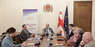 განათლებისა და მეცნიერების კომიტეტის წევრები გიორგი ამილახვარს შეხვდნენ