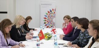 შალვა პაპუაშვილი მონტენეგროს პარლამენტის პრეზიდენტს შეხვდა