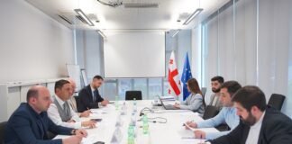 განახლებადი წყაროებიდან ელექტროსადგურის მიერ ელექტროენერგიის წარმოების სიმძლავრის პირველ აუქციონში 24-მა კომპანიამ გაიმარჯვა