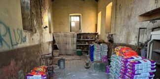 ქვემო ქართლში სარეცხი ფხვნილების გაყალბების ფაქტი გამოვლინდა