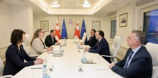 პრემიერ-მინისტრი ამერიკის შეერთებული შტატების სახელმწიფო მდივნის მოადგილის თანაშემწეს ერიკა ოლსონს შეხვდა