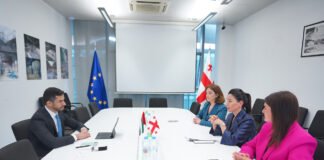 მარიამ ქვრივიშვილი არაბთა გაერთიანებული საამიროების ელჩს შეხვდა