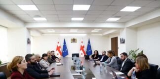 ჯანდაცვის სამინისტროში, მომსახურების დიაგნოზთან შეჭიდული ჯგუფებით დაფინანსების მოდელის მიმდინარეობასთან დაკავშირებით შეხვედრა გაიმართა