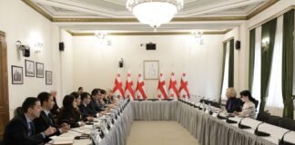 ნინო წილოსანი ტაჯიკეთის დელეგაციას შეხვდა