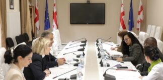 ნინო წილოსანი და მიხეილ სარჯველაძე გაეროს დამოუკიდებელ ექსპერტს შეხვდნენ