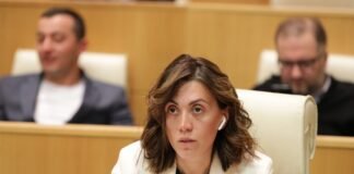 ანი წითლიძე – საჯარო სკოლებში უფასო კვების პროგრამის განხორციელებისთვის საჭიროა სახელმწიფო ბიუჯეტიდან თითოეულ ბავშვზე წელიწადში 680 ლარი გამოიყოს