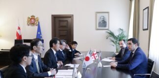 შალვა პაპუაშვილი იაპონიის ეროვნული დიეტის საქართველო-იაპონიის მეგობრობის ჯგუფის წევრებს შეხვდა