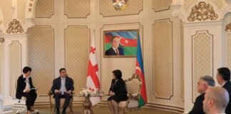 შალვა პაპუაშვილი აზერბაიჯანის პარლამენტის თავმჯდომარეს შეხვდა