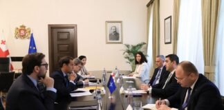 შალვა პაპუაშვილი კავკასიასა და ცენტრალურ აზიაში ჩრდილოატლანტიკური ალიანსის სპეციალურ წარმომადგენელს შეხვდა
