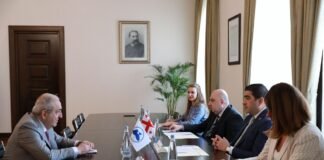 შალვა პაპუაშვილი შავი ზღვის ეკონომიკური თანამშრომლობის საპარლამენტო ასამბლეის (PABSEC) გენერალურ მდივანს შეხვდა