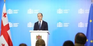 ლევან დავითაშვილის განცხადებით, არც სანქცირებული ბორტები და არც სანქცირებული კომპანიები საქართველოს ბაზარზე დაშვებულნი არ იქნებიან