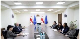 ზურაბ აზარაშვილი შაქრიანი დიაბეტი ტიპი 1-ის მქონე ბავშვების მშობლებს შეხვდა