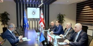 გრიგოლ ლილუაშვილმა საქართველოში ევროკავშირის სადამკვირვებლო მისიის ახლად დანიშნულ ხელმძღვანელთან შეხვედრა გამართა