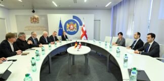 ლევან დავითაშვილი გერმანიის ბუნდესტაგის წევრებს შეხვდა