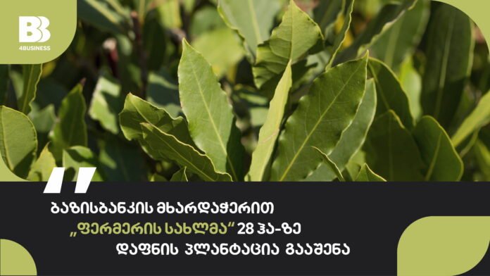 ფერმერის სახლი