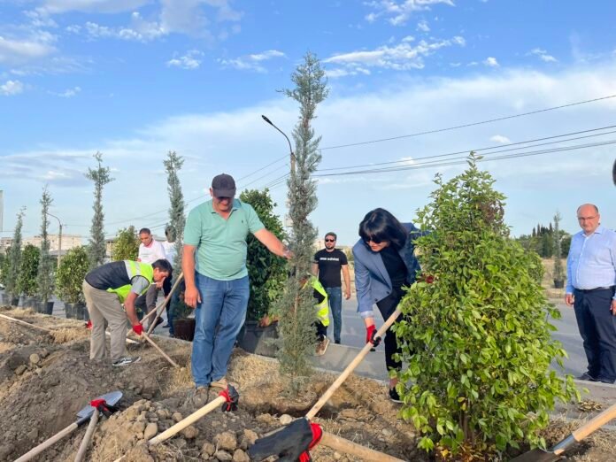 351439634_243160264996648_866147903557668274_n