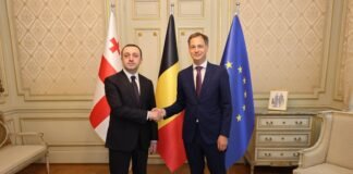 ირაკლი ღარიბაშვილი ბელგიის სამეფოს პრემიერ-მინისტრს ალექსანდერ დე კროოს შეხვდა