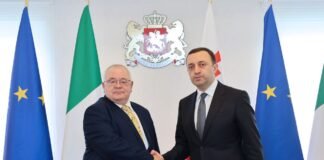 ირაკლი ღარიბაშვილი ირლანდიის პარლამენტის ქვედა პალატის თავმჯდომარეს შეხვდა