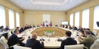 ირაკლი ღარიბაშვილის ხელმძღვანელობით, საქართველოს დემოგრაფიულ საკითხთა განმხილველი საბჭოს მორიგი სხდომა გაიმართა