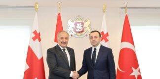 ირაკლი ღარიბაშვილი თურქეთის რესპუბლიკის ეროვნული უსაფრთხოების საბჭოს გენერალურ მდივანს შეხვდა