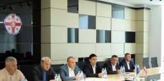 ქვემო ქართლის ნარჩენების მართვის პროექტის ფარგლებში სამუშაო შეხვედრა გაიმართა