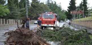 სტიქია ბოლნისში