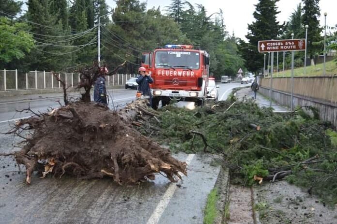 FB_IMG_1688139758116