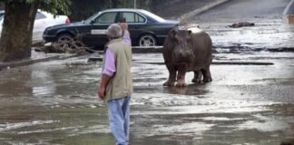 13 ივნისს მომხდარი ტრაგედიიდან 8 წელი გავიდა