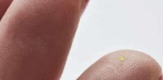 ბრენდმა MSCHF მიკროჩანთა გამოუშვა, რომელიც ნემსის ყუნწში ეტევა