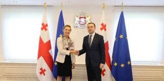 პრემიერ-მინისტრი ევროპის საბჭოს გენერალურ მდივანს შეხვდა