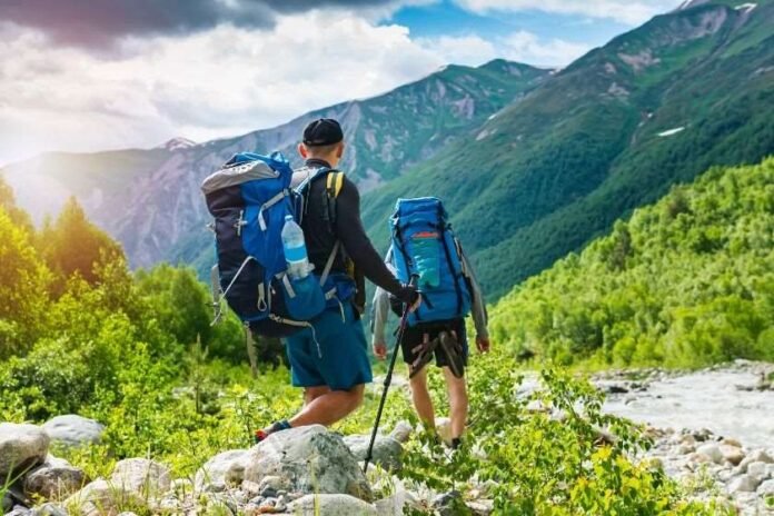 1615887798_561_much-than-2